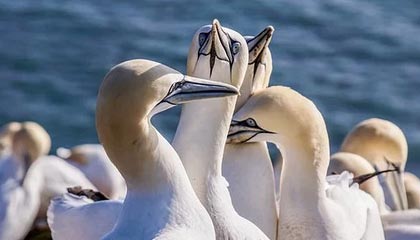 那曲2026年最新医保提取中介联系微信方法介绍(分享医保卡中介取现)