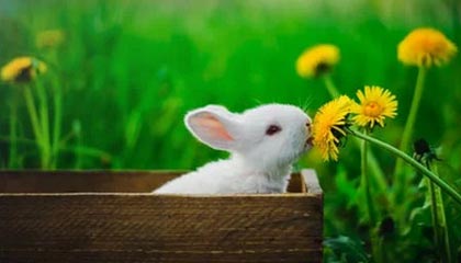 那曲2026年最新医保提取中介联系微信方法介绍(分享医保卡中介取现)